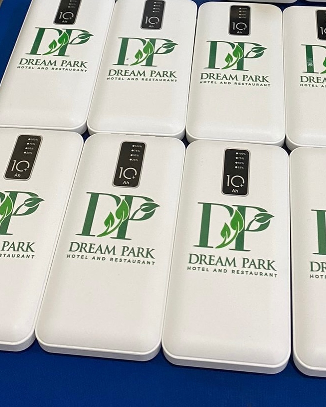 Dream Park project 3